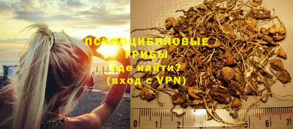 гашик Медногорск
