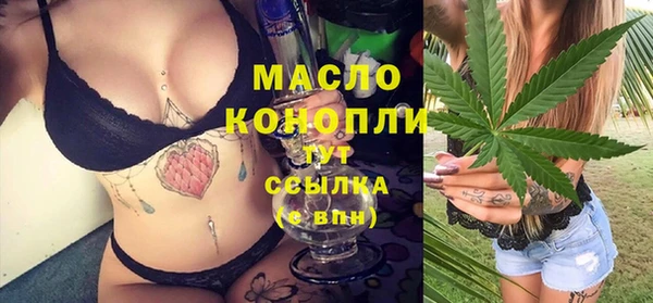 гашик Медногорск