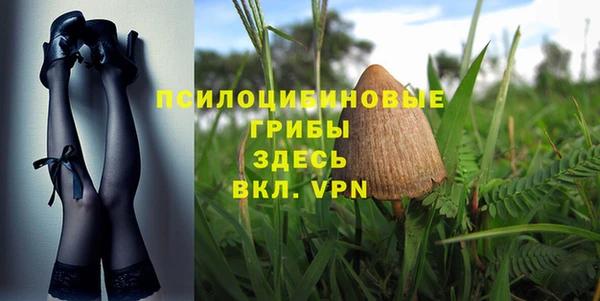 эйфоретик Мегион
