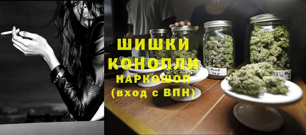 гашик Медногорск