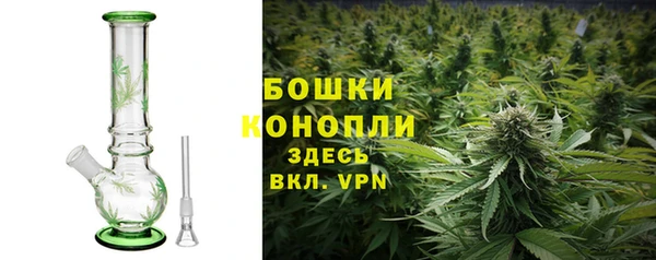 гашик Медногорск