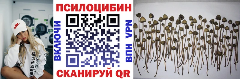 где продают наркотики  Углич  Псилоцибиновые грибы Psilocybine cubensis 
