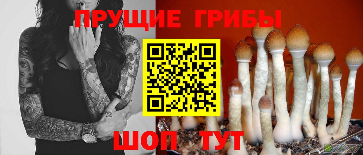 Псилоцибиновые грибы Psilocybe  как найти закладки  Углич  Вход с VPN 
